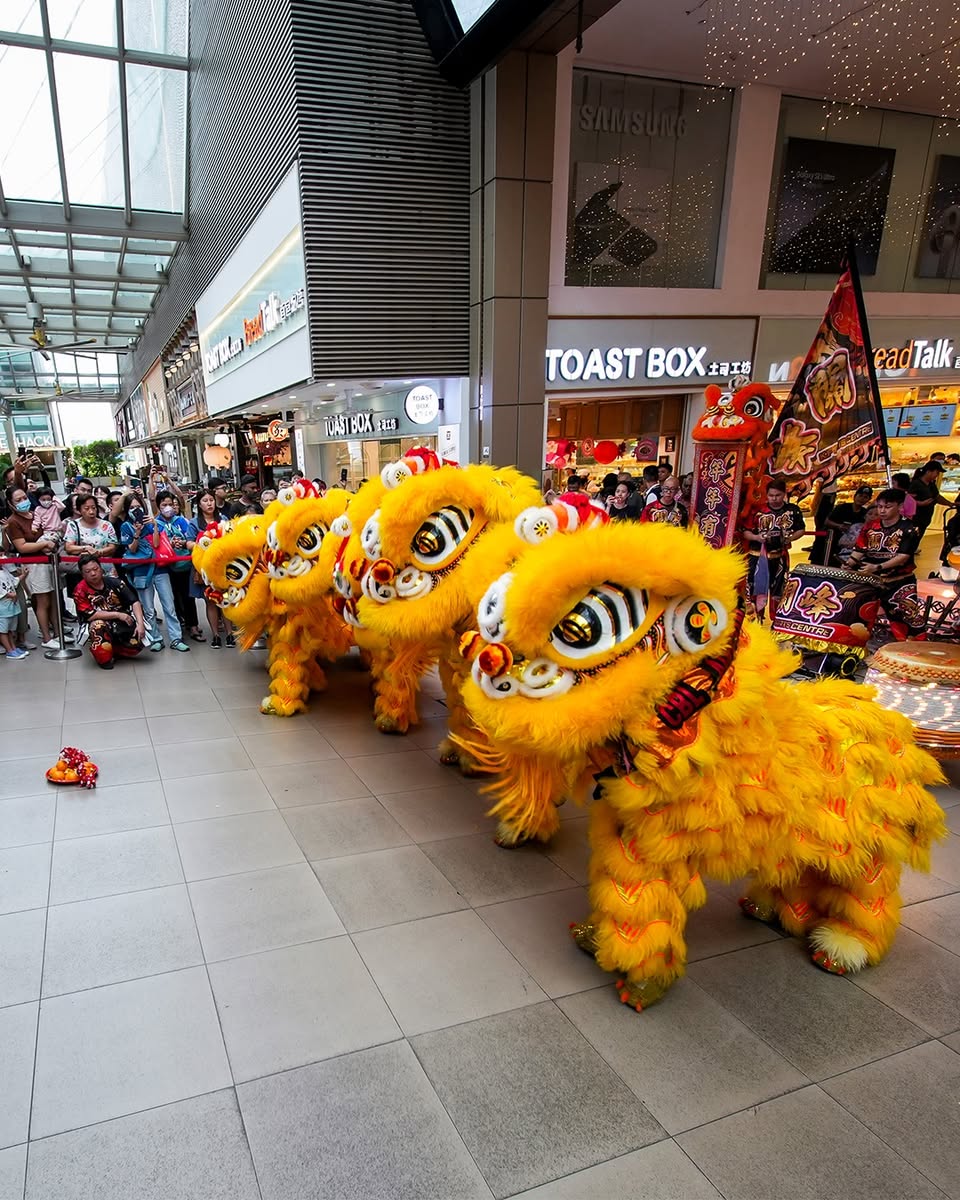 The thundering drums and vibrant atmosphere of the celebration.
