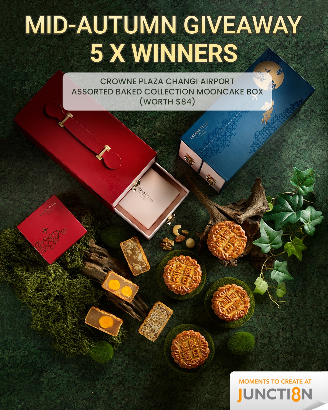 A beautifully packaged box of assorted mooncakes, hinting at the festive Mid-Autumn season.