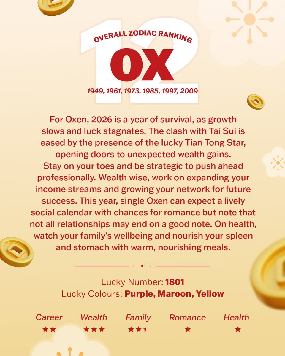 Lunar New Year celebrations and decorations