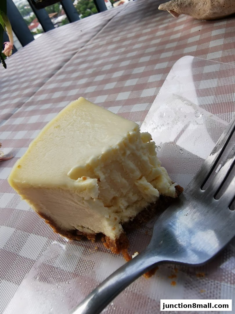 A slice of creamy cheesecake with a fork on a checkered tablecloth.