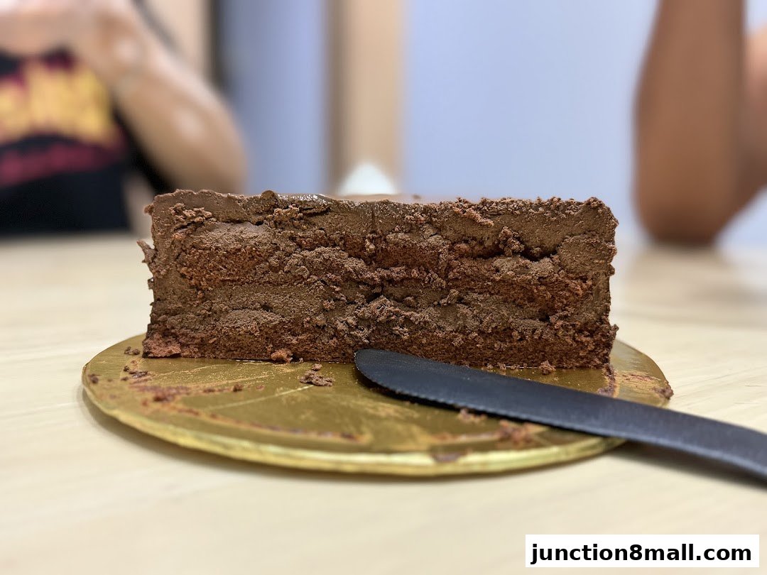 A slice of rich chocolate cake with layers of chocolate frosting and cake.