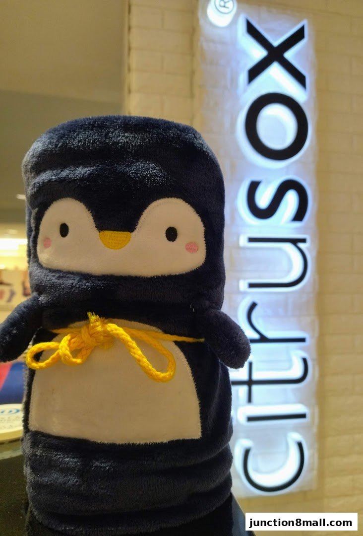 A cute penguin plush toy is displayed in front of the illuminated Citrusox store sign.