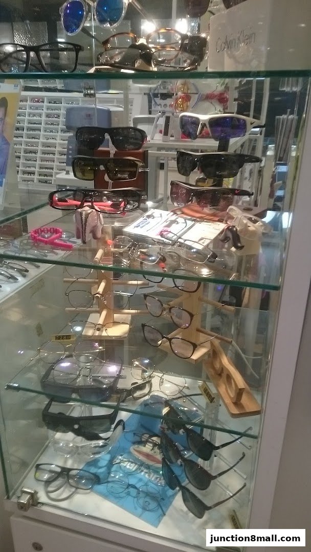 A display case filled with various styles of eyeglasses and sunglasses.
