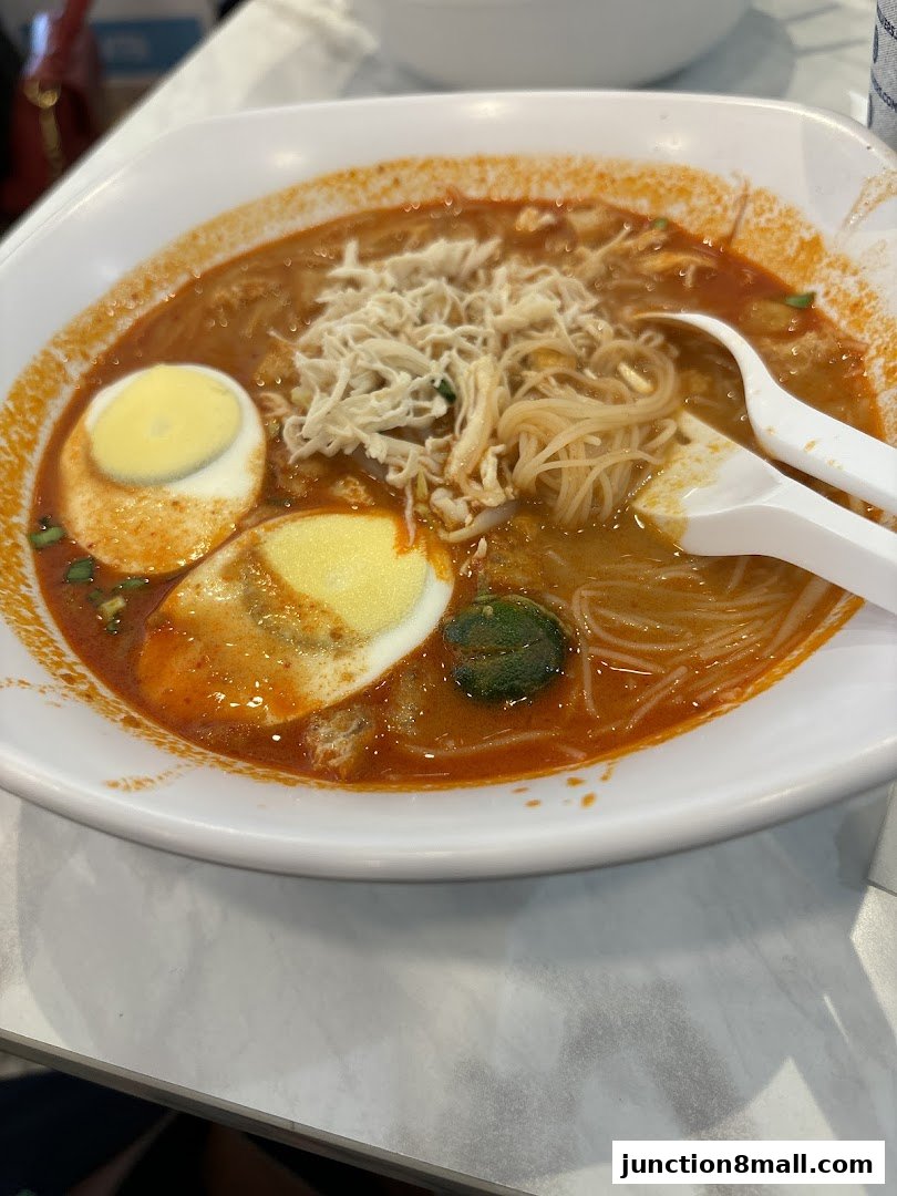 A close-up of a delicious bowl of Laksa with noodles, egg, and shredded chicken.