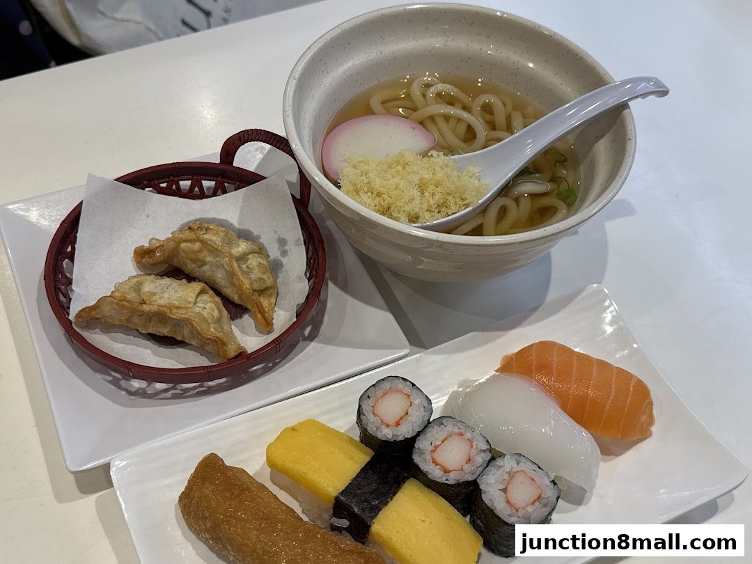 A close-up of Japanese food including sushi, fried dumplings, and udon noodles.