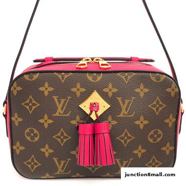 A close-up shot of a Louis Vuitton monogram canvas camera bag with pink leather trim and tassels.