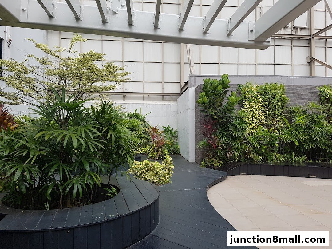 A lush green garden with various plants and a curved wooden seating area.