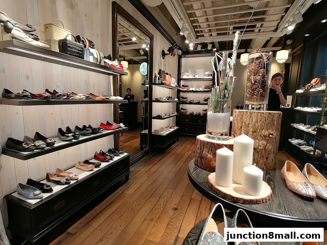 Interior view of a shoe store showcasing various flats and heels on display shelves.
