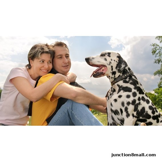 A couple happily embraces while sitting outdoors with their Dalmatian dog.