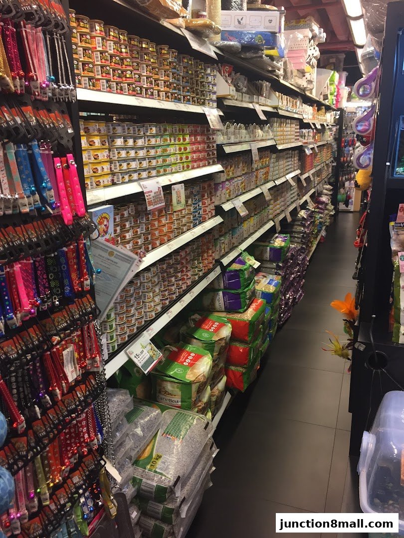 Aisle of a pet store with shelves stocked with pet food, collars, and other supplies.