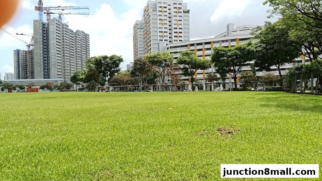 A wide shot of a lush green field with apartment buildings and construction cranes in the background.