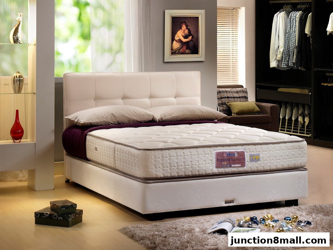 A luxurious bedroom setting featuring a comfortable bed, elegant decor, and a spacious closet.