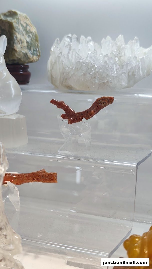 Close-up of red coral branches displayed on clear acrylic stands.
