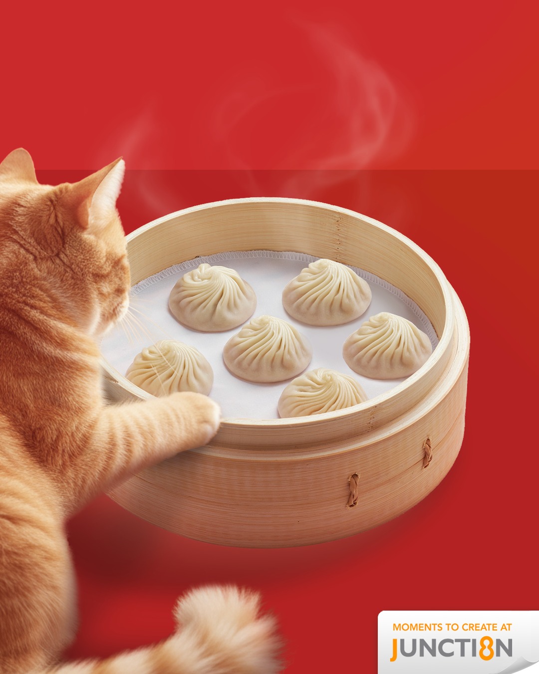 Steaming basket of Din Tai Fung's signature Xiao Long Baos